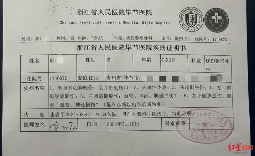 2025新奥资料正版大全和7岁男孩遭3只犬撕咬与7岁男孩遭3只犬撕咬怎么办
