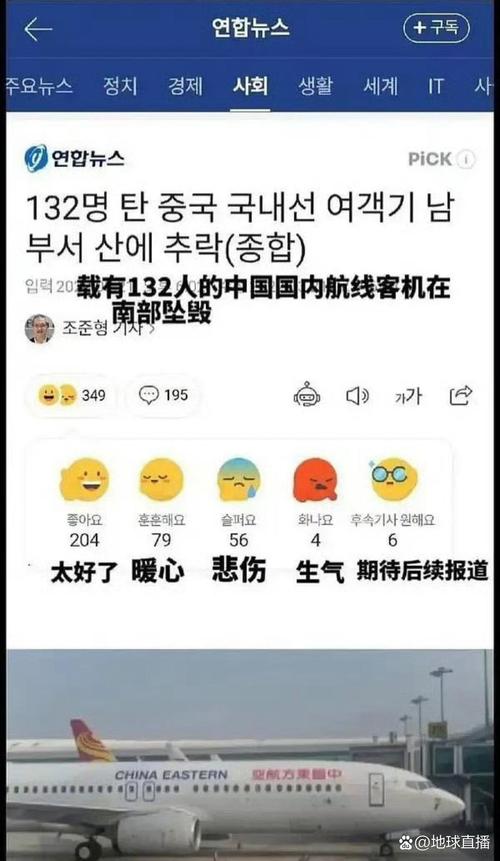2025年正版资料免费大全和印失事客机乘客国籍与飞机失事 印尼